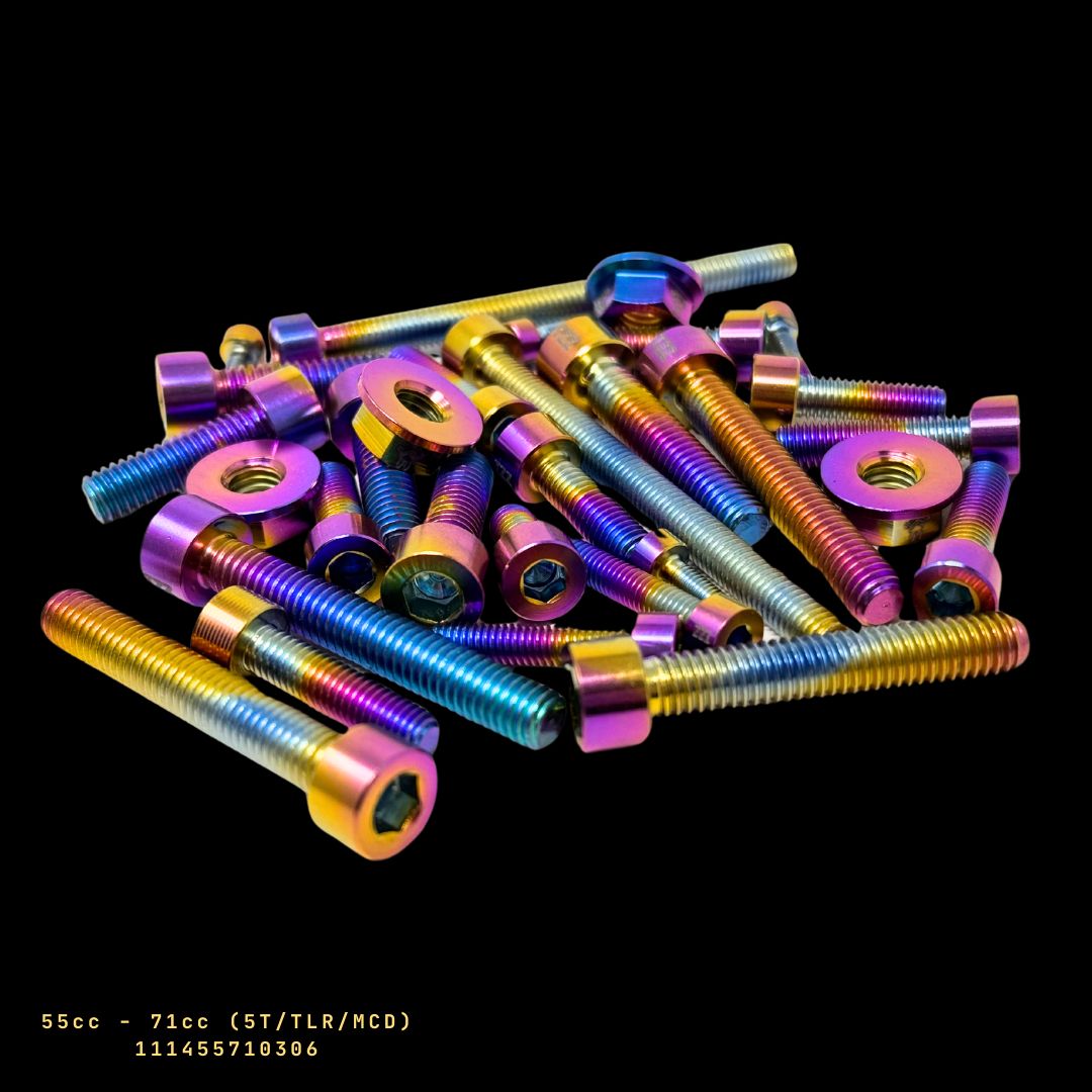 TZZ Taylor 40cc-80cc Engine Titanium alloy Screws Set