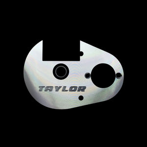 TAYLOR Billet HD BAJA 7075 Gear Back Plate