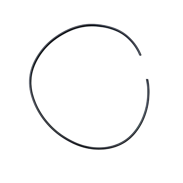 ALX crank case O-ring, black rubber sealing ring shown flat