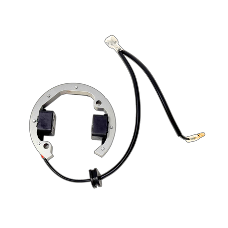 ALX SELETTRA Custom Ignition Stator