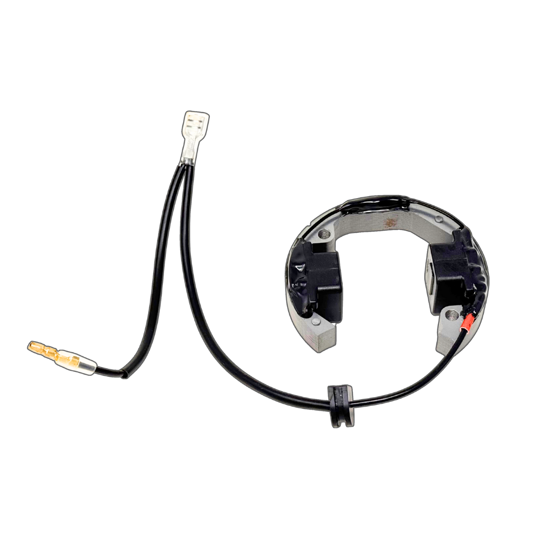 ALX SELETTRA Custom Ignition Stator