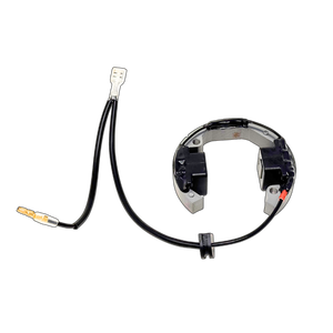 ALX SELETTRA Custom Ignition Stator