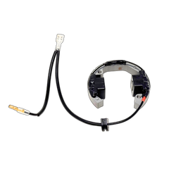 ALX SELETTRA Custom Ignition Stator