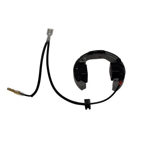 ALX SELETTRA Custom Ignition Stator