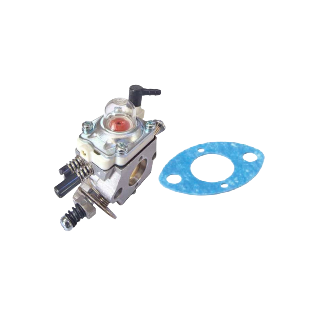 Carburetor and gasket on a white background