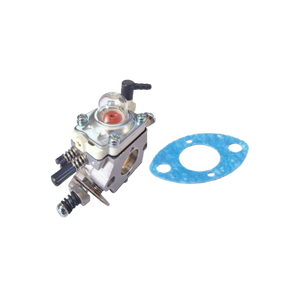 Carburetor and gasket on a white background